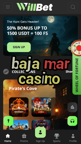 Baja Mar Casino - Top Mexican Coastal Casino-www.bdqngd.com